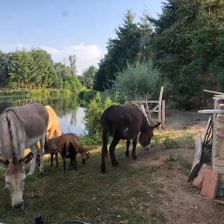 Ferien Appartement Mini Bauernhof Zur Striehmuehle Appartement *