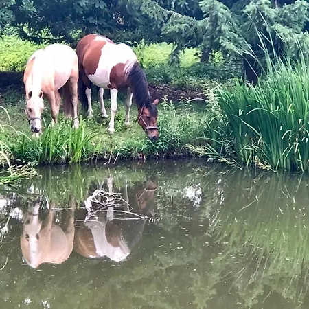 Ferien Appartement Mini Bauernhof Zur Striehmuehle * Elsnig